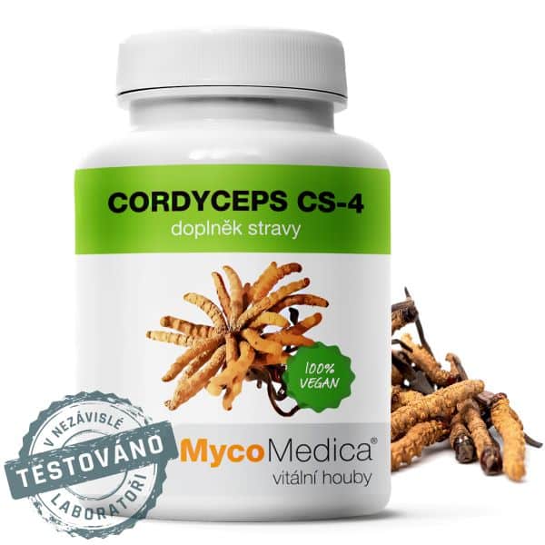 CORDYCEPS CS-4 - Cordyceps sinensis - DONG CHONG XIA CAO - K01