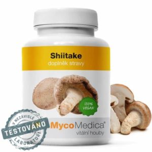 Shiitake – Lentinula edodes – Húževnatec jedlý – K26